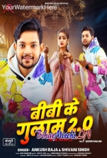 Ae Raja Raura Dahej Pa Kinail Bani (Hit Matter)